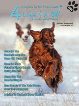 dogs playing in the snow on magazine cover