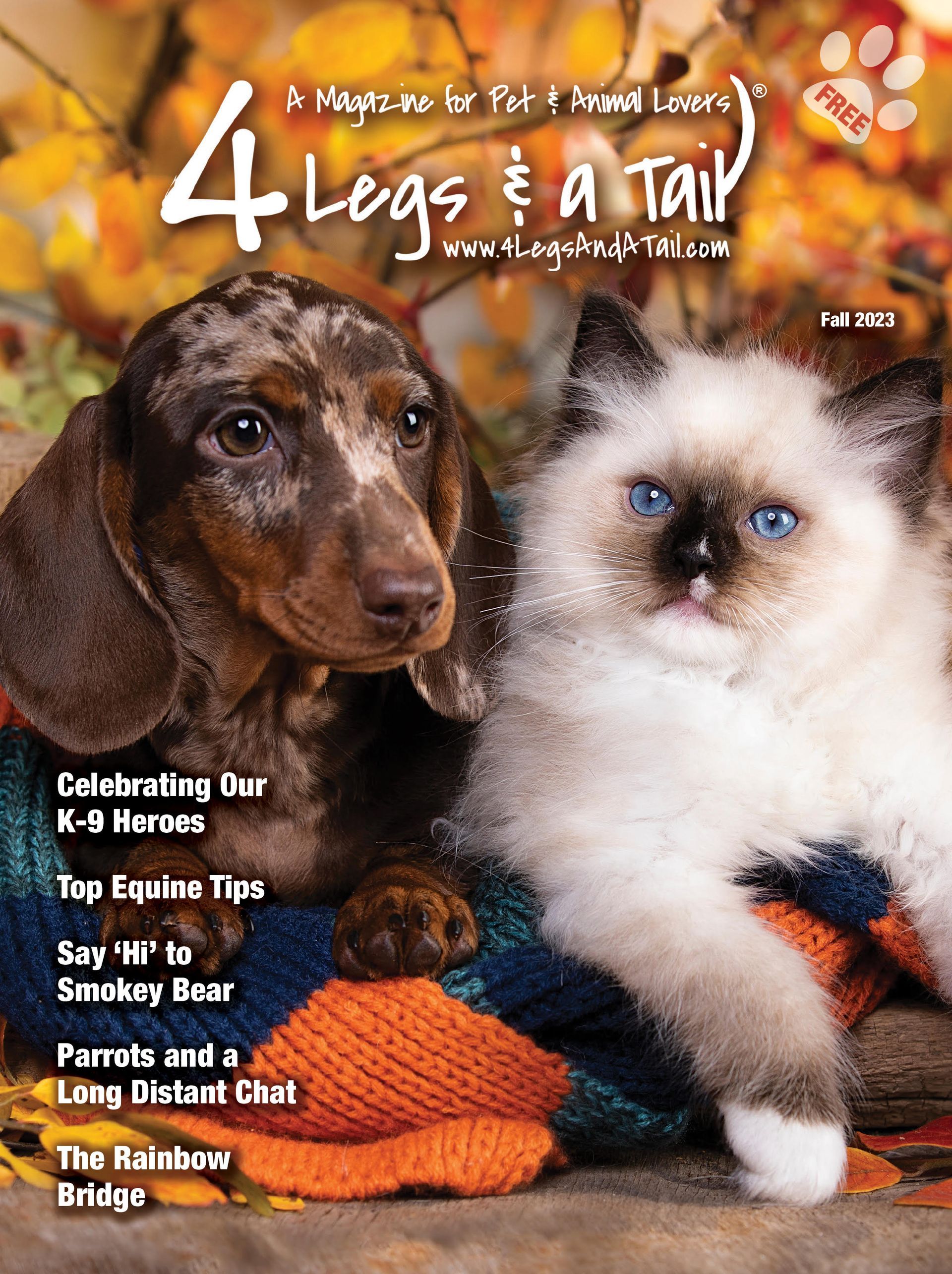 a dog and a cat are on the cover of a magazine called 4 legs & a tail