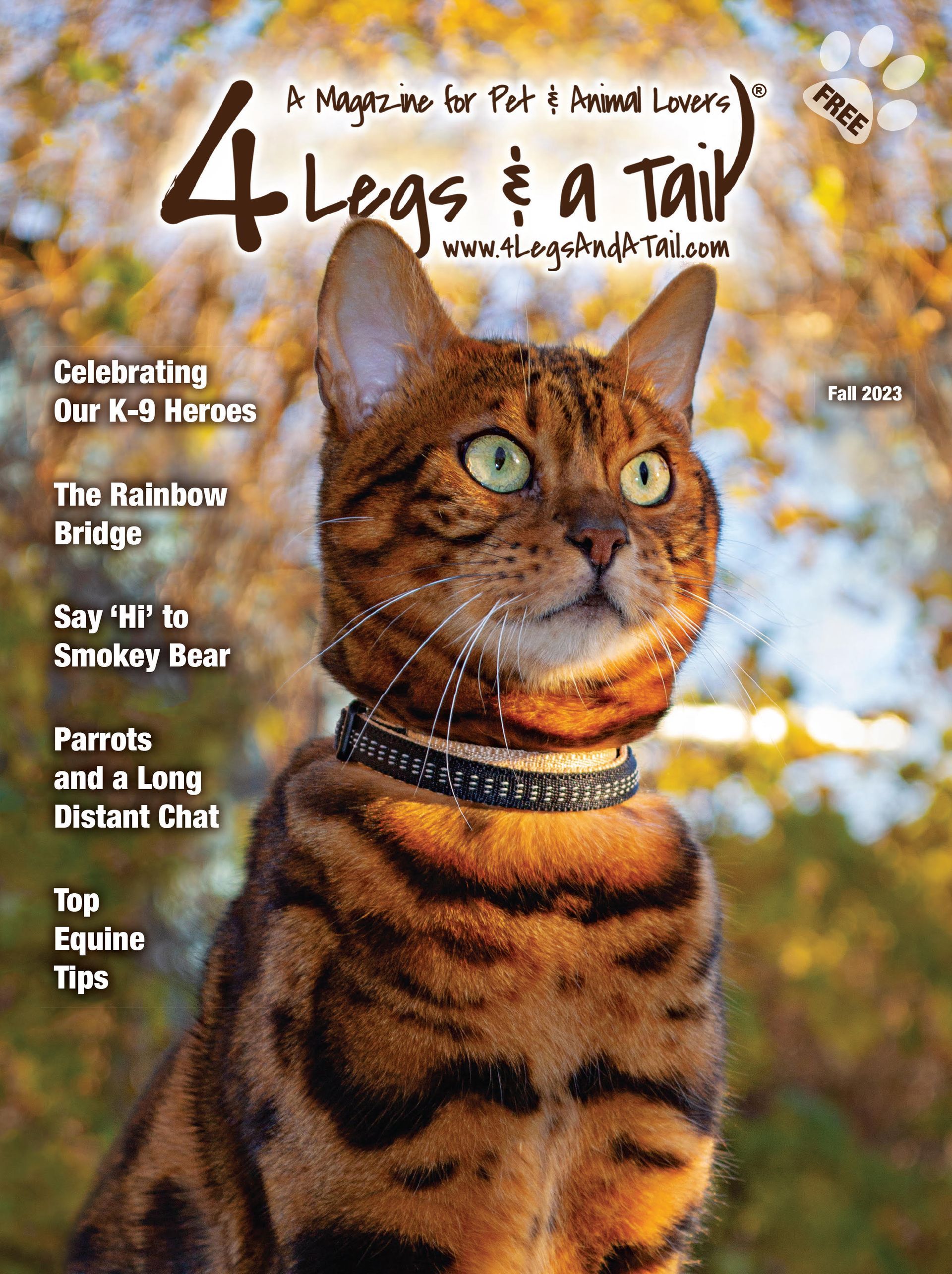 a cat wearing a collar is on the cover of a magazine .