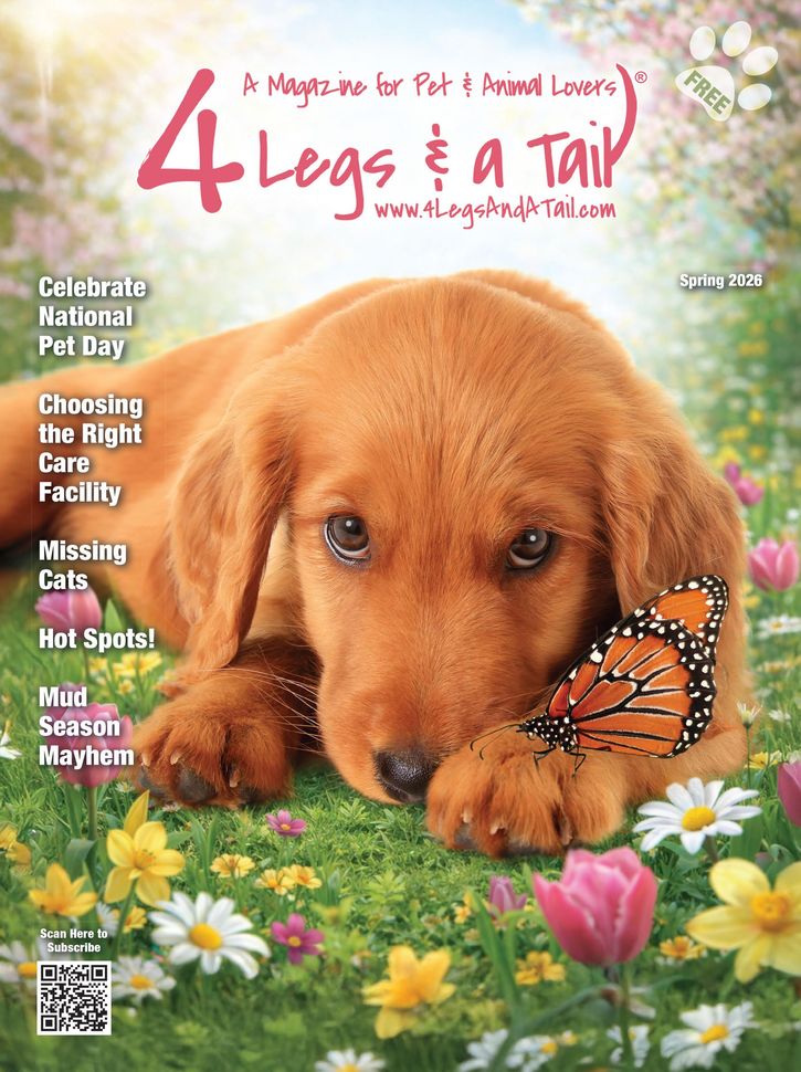 Winter 2025 4 Legs & A Tail Magazine