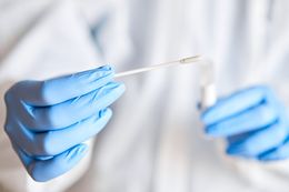 A person wearing blue gloves is holding a swab in their hand.