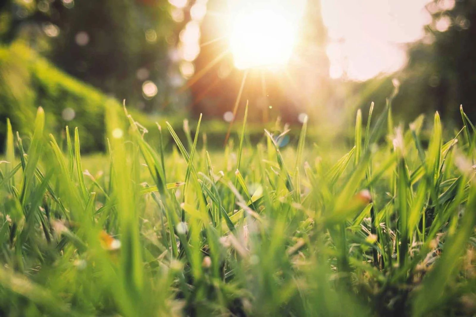 Leggere texture e fresche cromie sbocciano nella pittoresca atmosfera della primavera