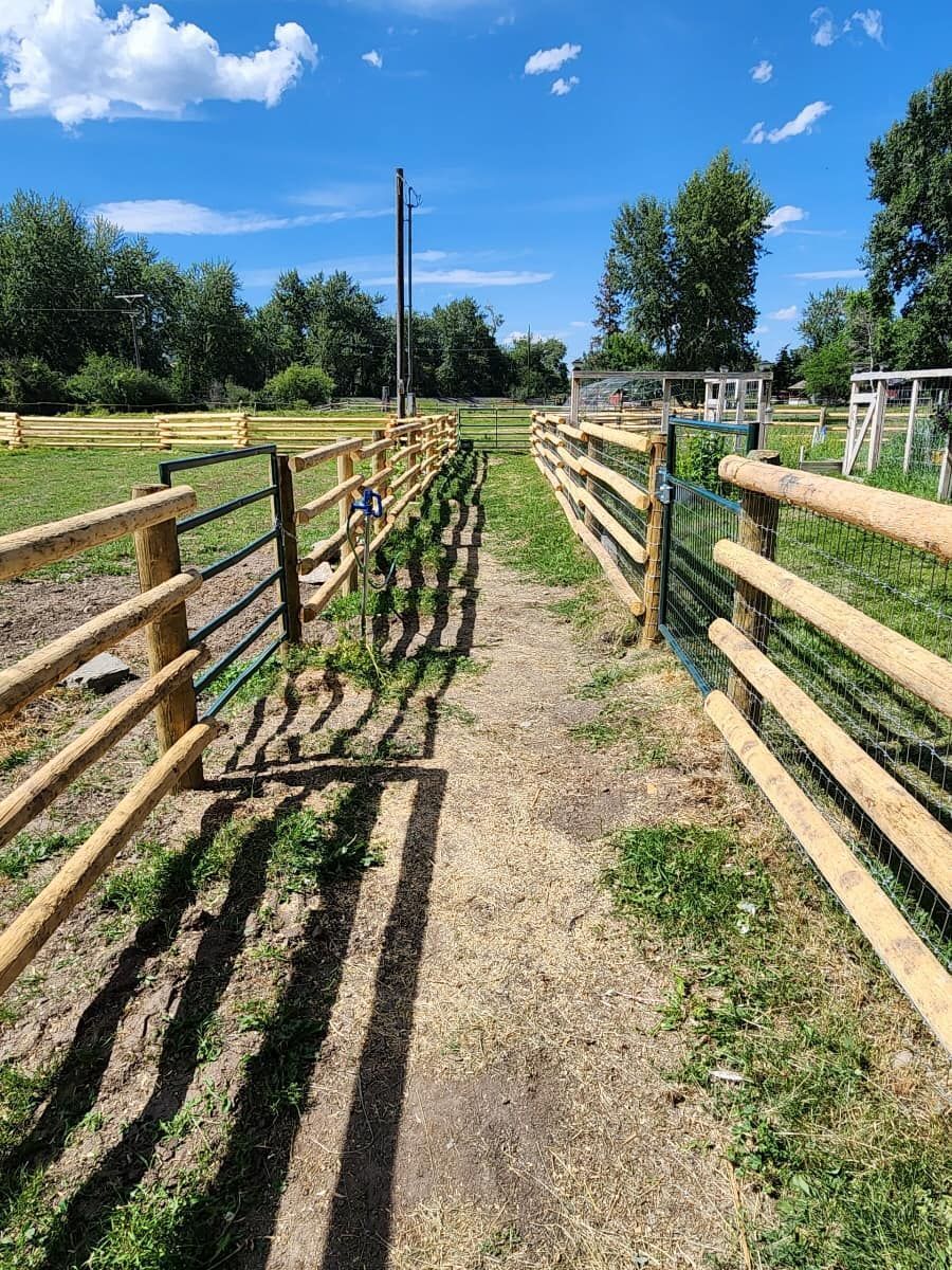 A wooden fence surrounds a dirt path in a field.