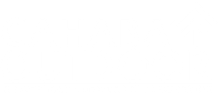 Mostly blank white rectangle with a thin black line near the bottom, like a simple UI panel or placeholder.