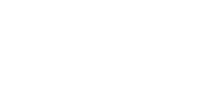Mostly blank white screen with a thin dark horizontal line near the center