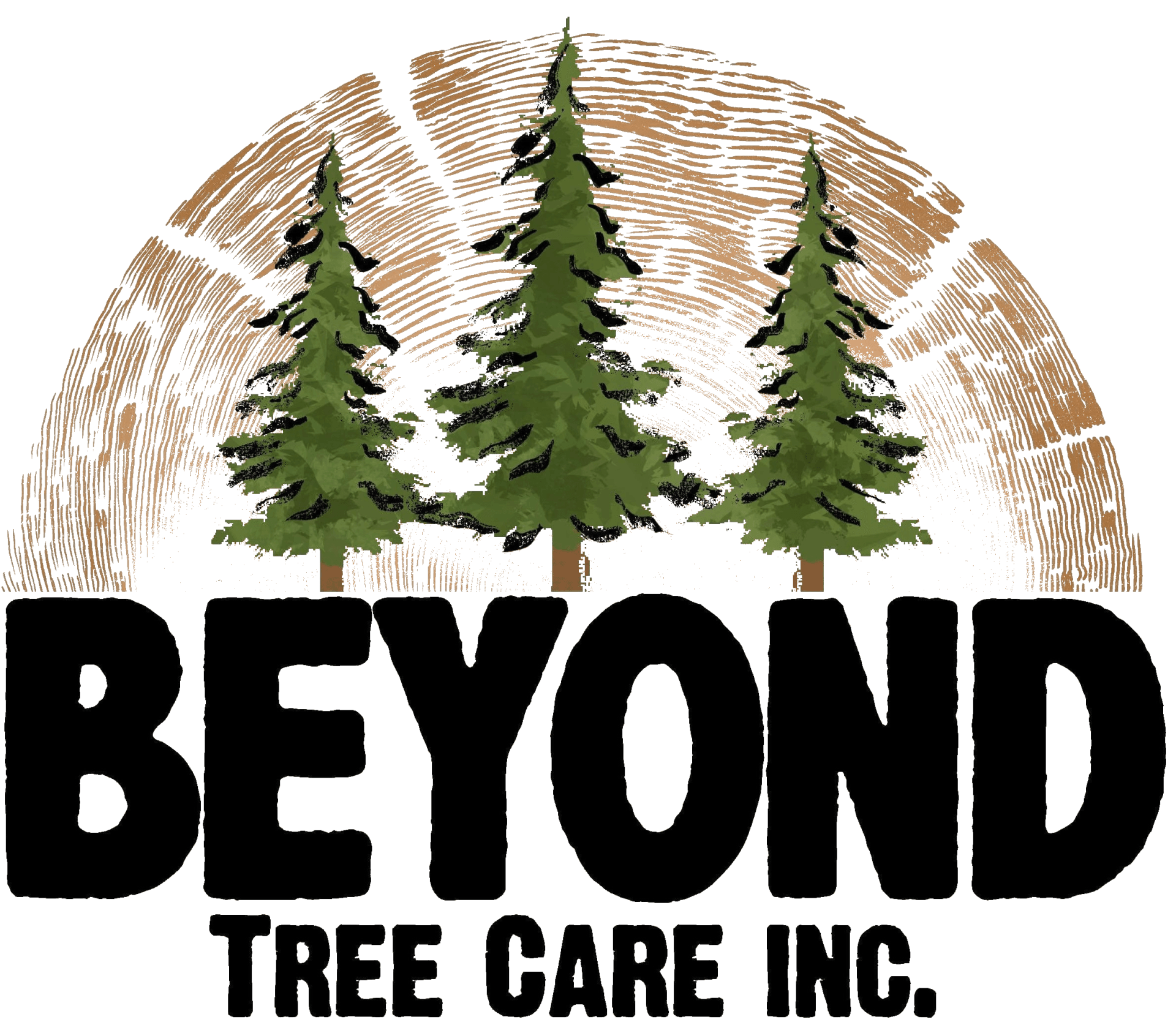 About Beyond Tree Care, Inc. Tree Care Services