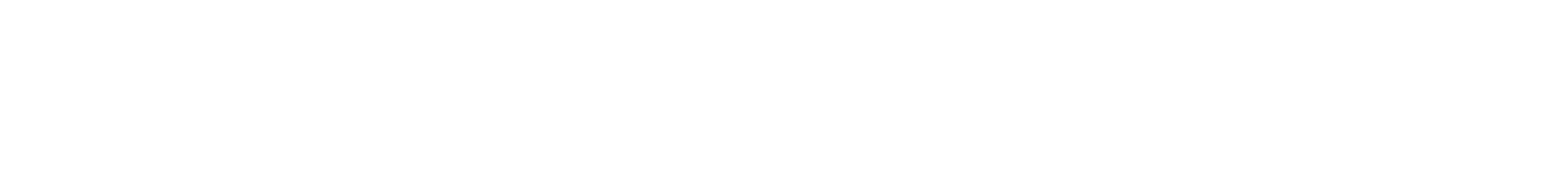 Company Logo - Footer