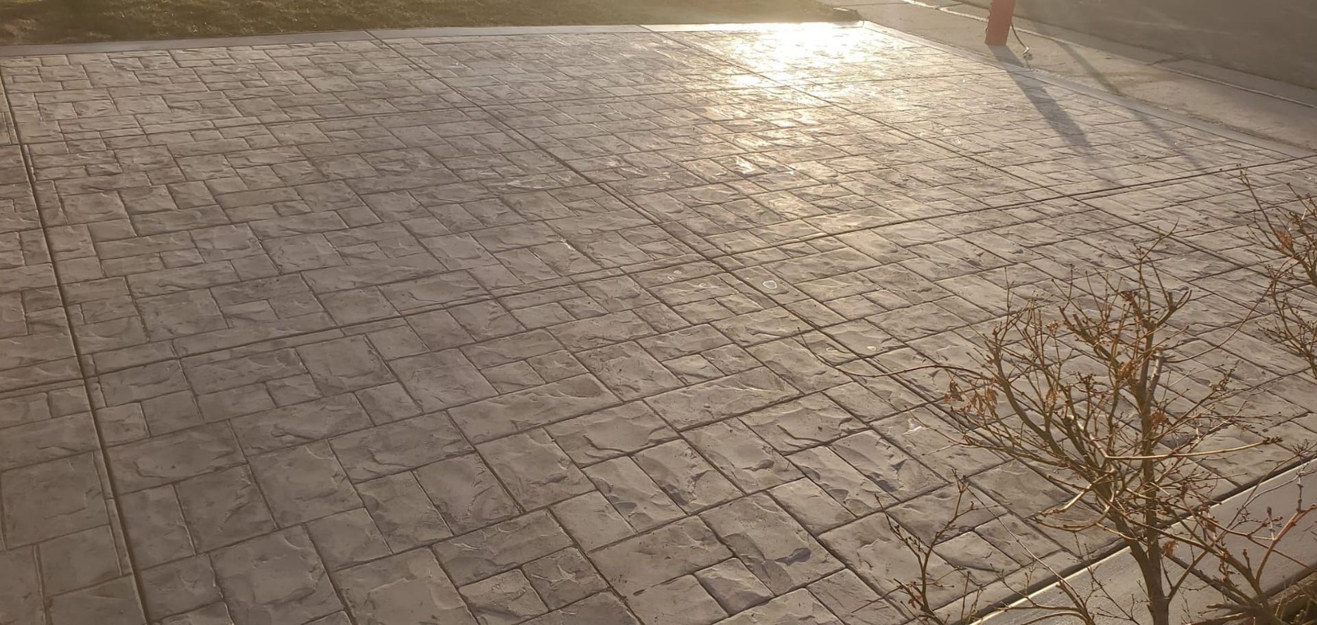 A brick driveway with a tree in the foreground and the sun shining on it.