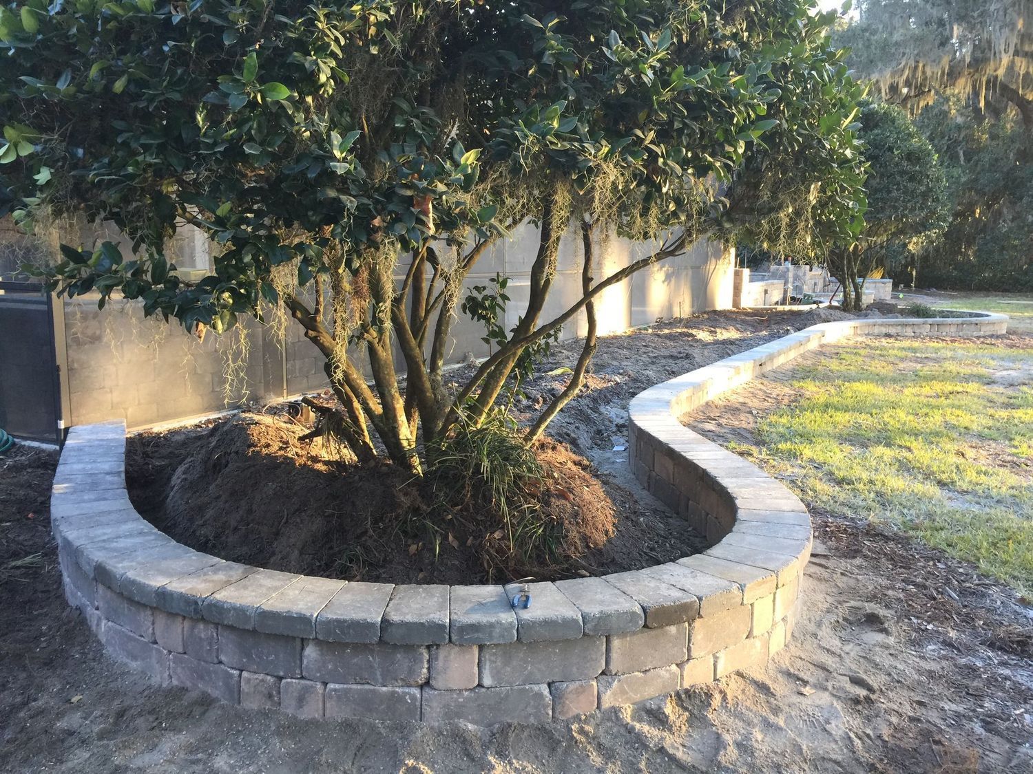 A tree is growing in a circular planter in a yard.