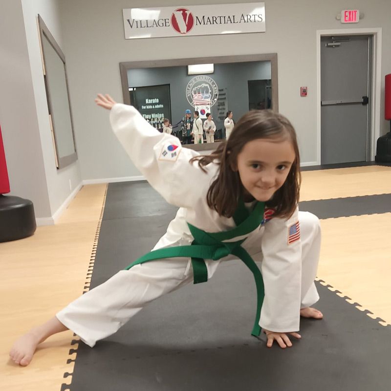 martial arts belt ranks