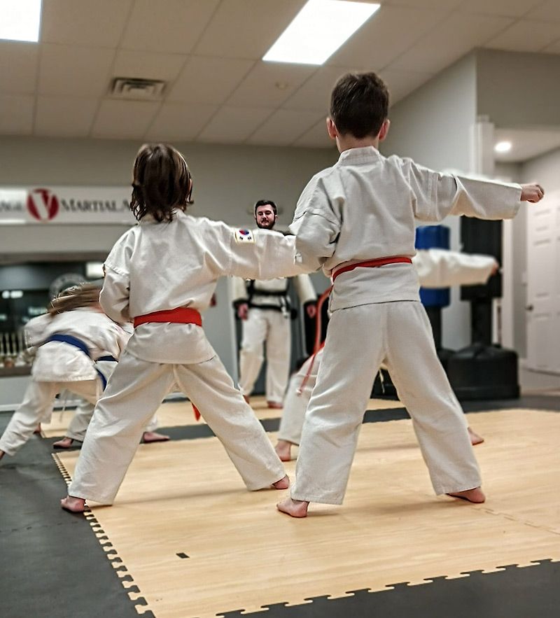 adult martial arts