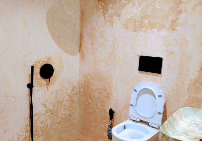 A bathroom with a toilet and a shower.