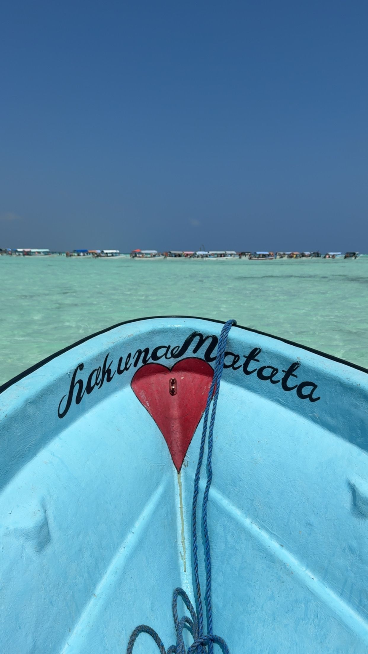 A herd of zebras grazing in a field with the sun shining through the clouds.