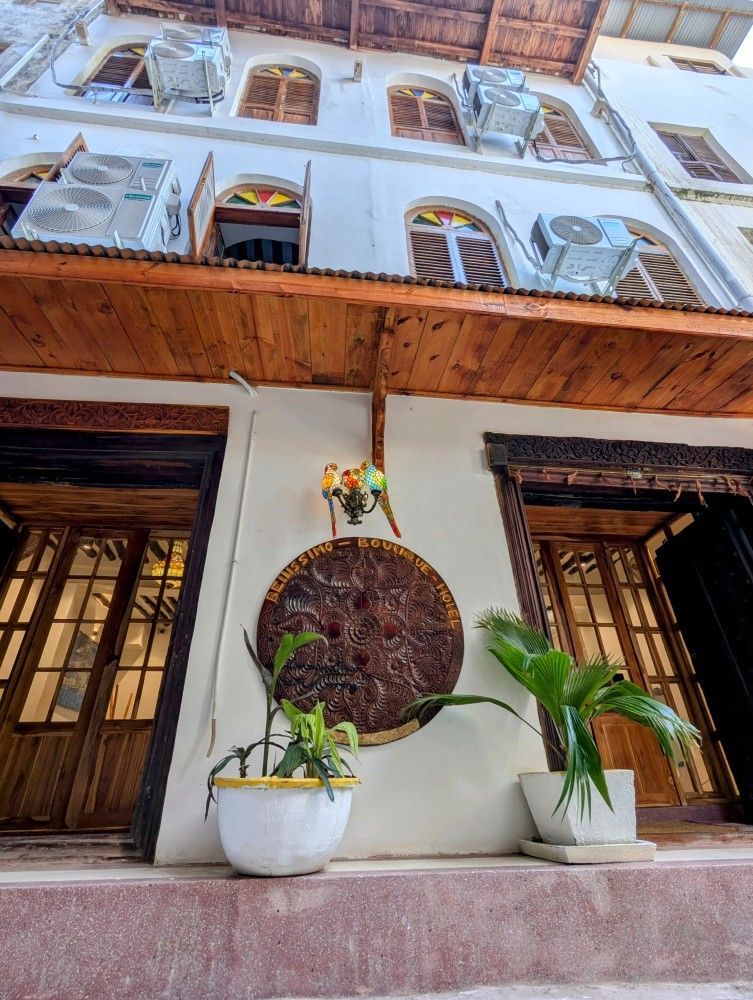 A potted plant is sitting in front of a building.