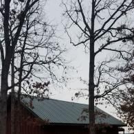 A dark red building with a green metal roof partially obscured by silhouetted, leafless trees against a cloudy sky.