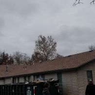 A person stands near a dumpster filled with debris outside a building with a newly installed brown shingled roof.