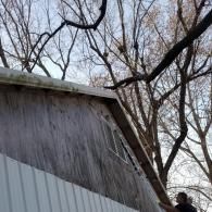 A person on a ladder repairs the gable end of a weathered wooden building under bare trees.
