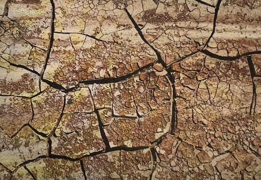 Terre sèche et craquelée aux tons bruns et jaunes.