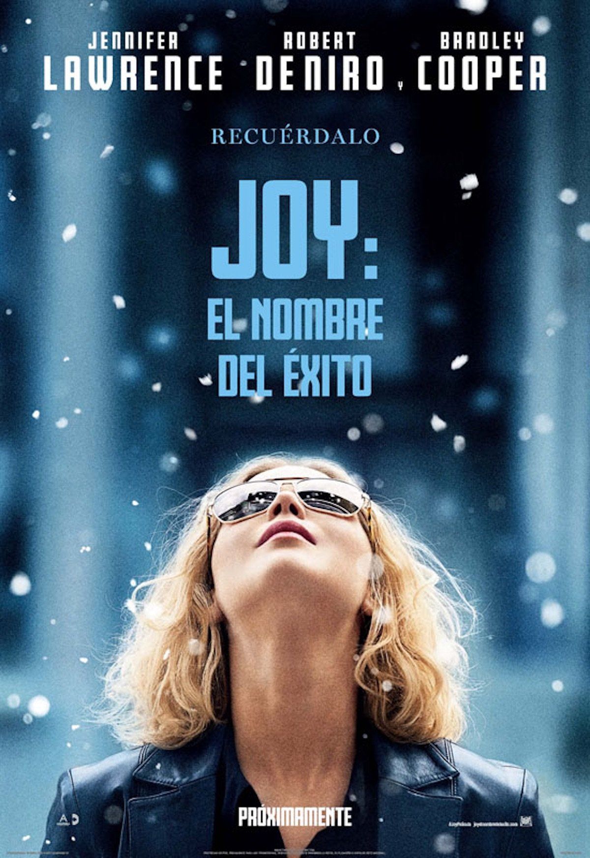 Joy: El Nombre del éxito Netflix