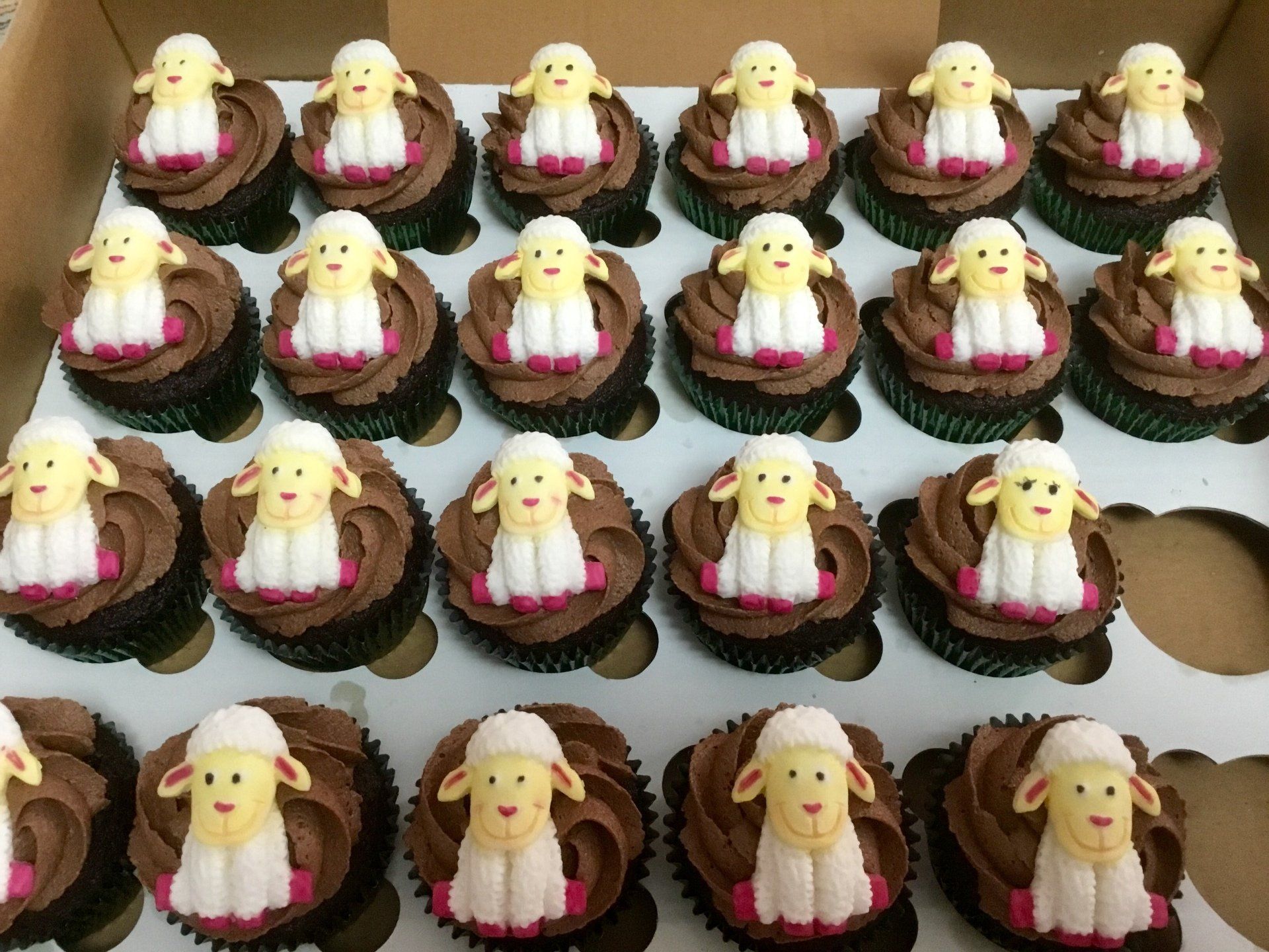 Sheep themed cupcakes