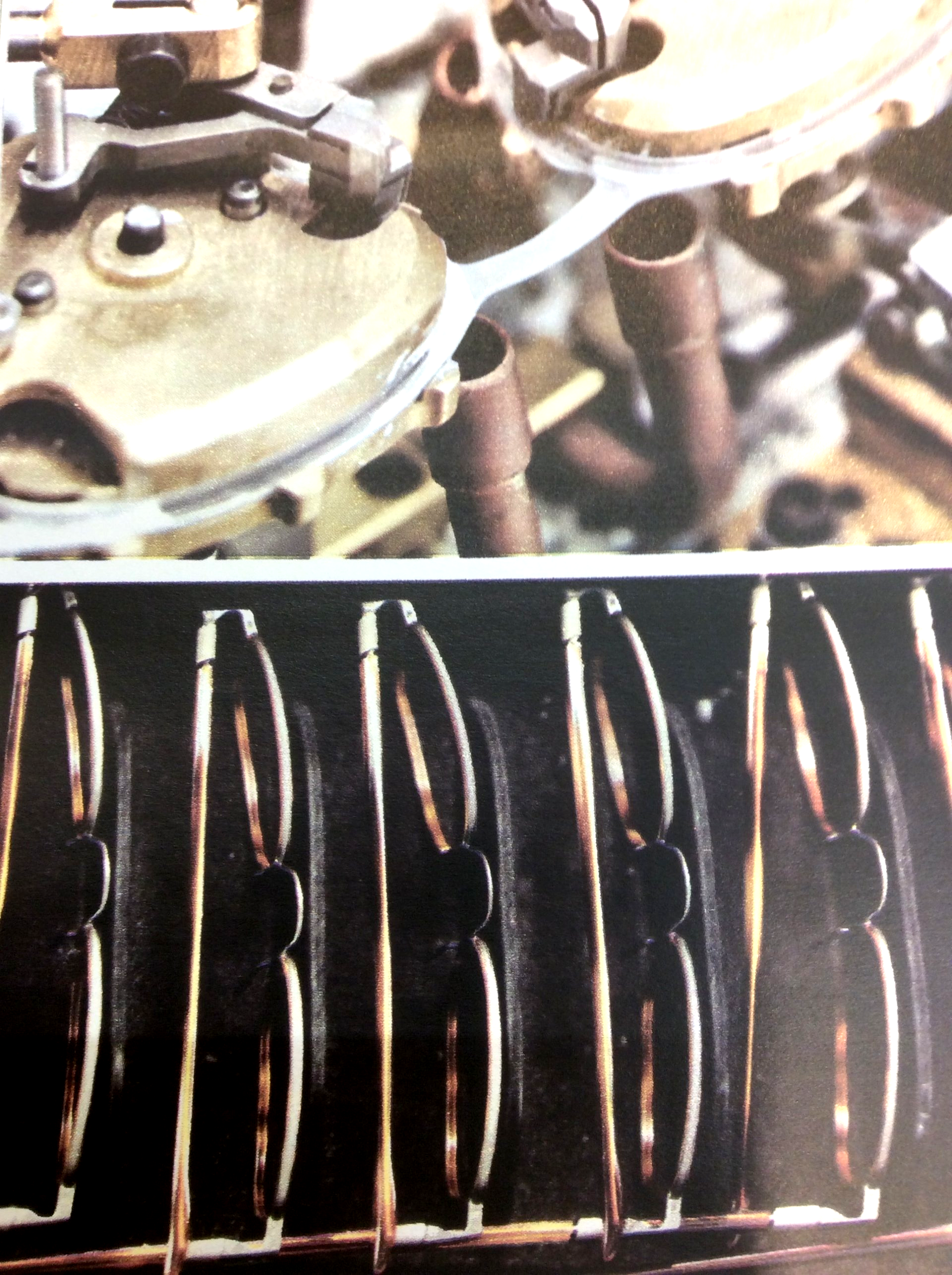 Occhiali da vista femminili