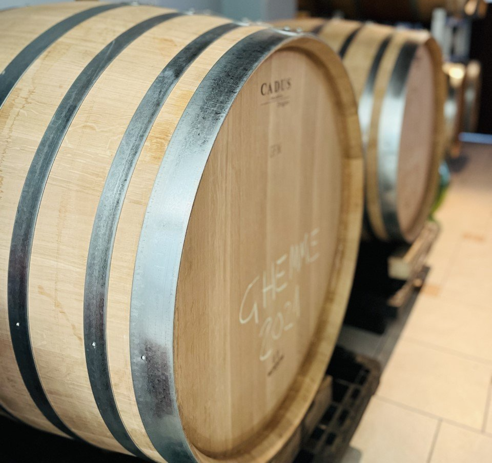 Calice di vino rosso piemontese