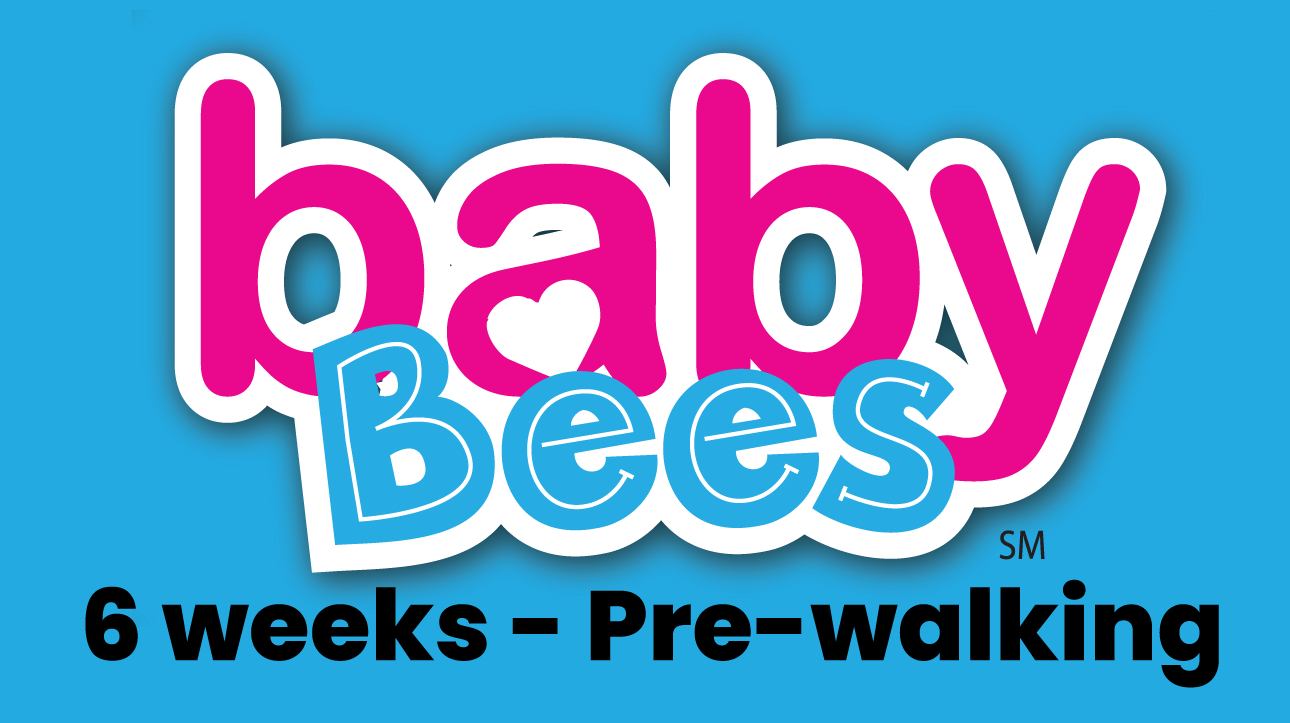 Baby Bees 6 weeks - Pre-walking