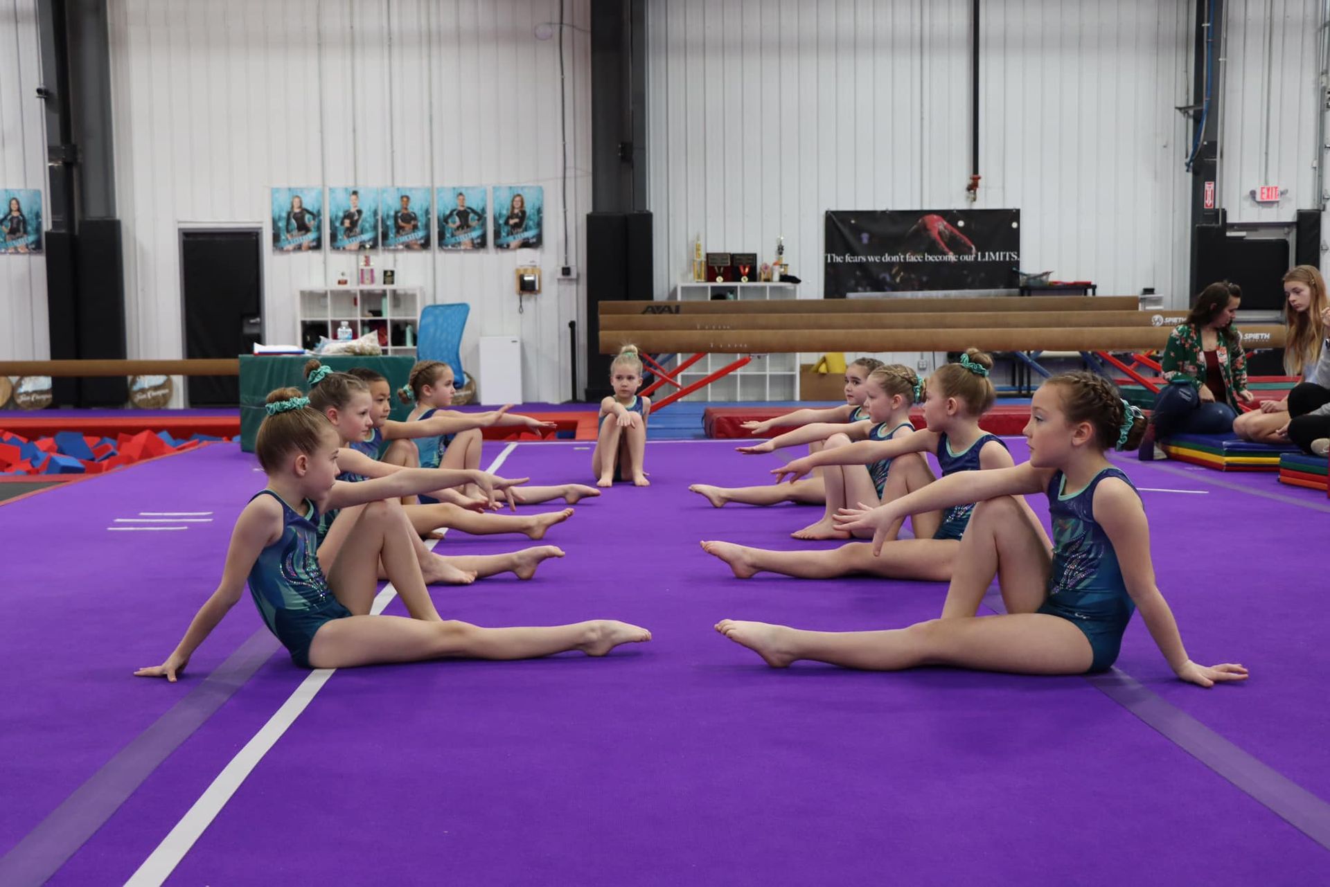 Girls Competitive Gymnastics Teams