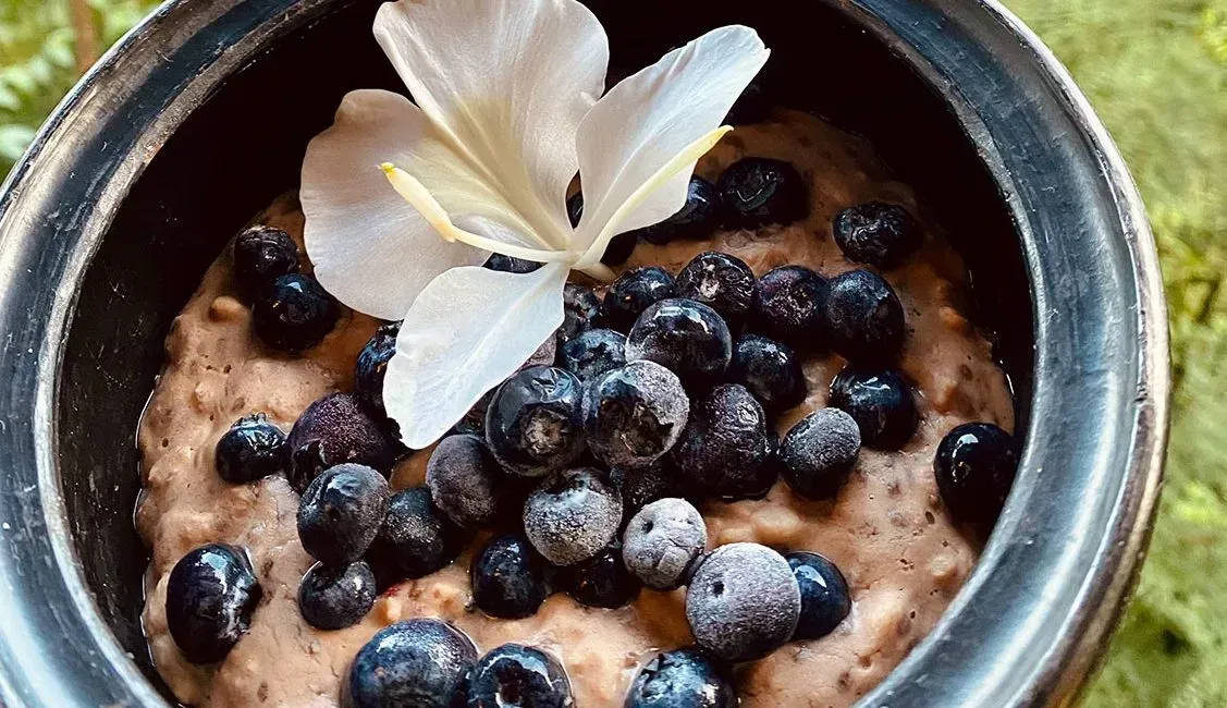 A bowl of oatmeal with blueberries and a white flower on top.