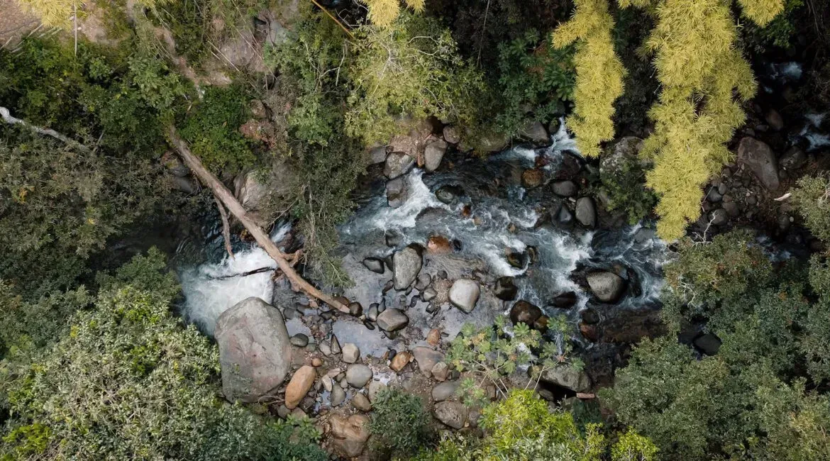 An aerial view of a river flowing through a lush green forest.