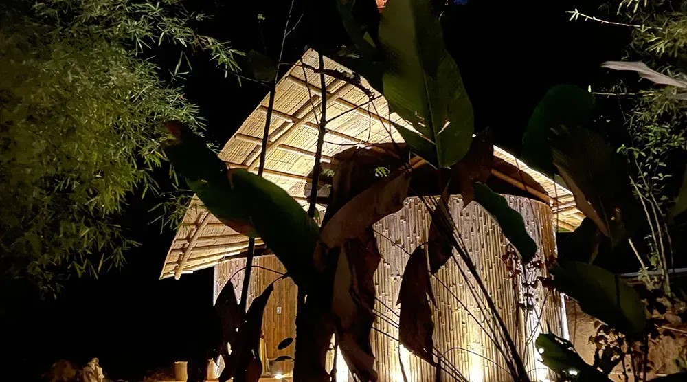 A house is lit up at night with trees in the background.