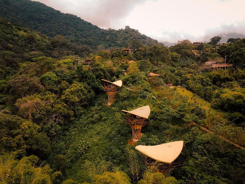 An aerial view of a lush green forest with mountains in the background.