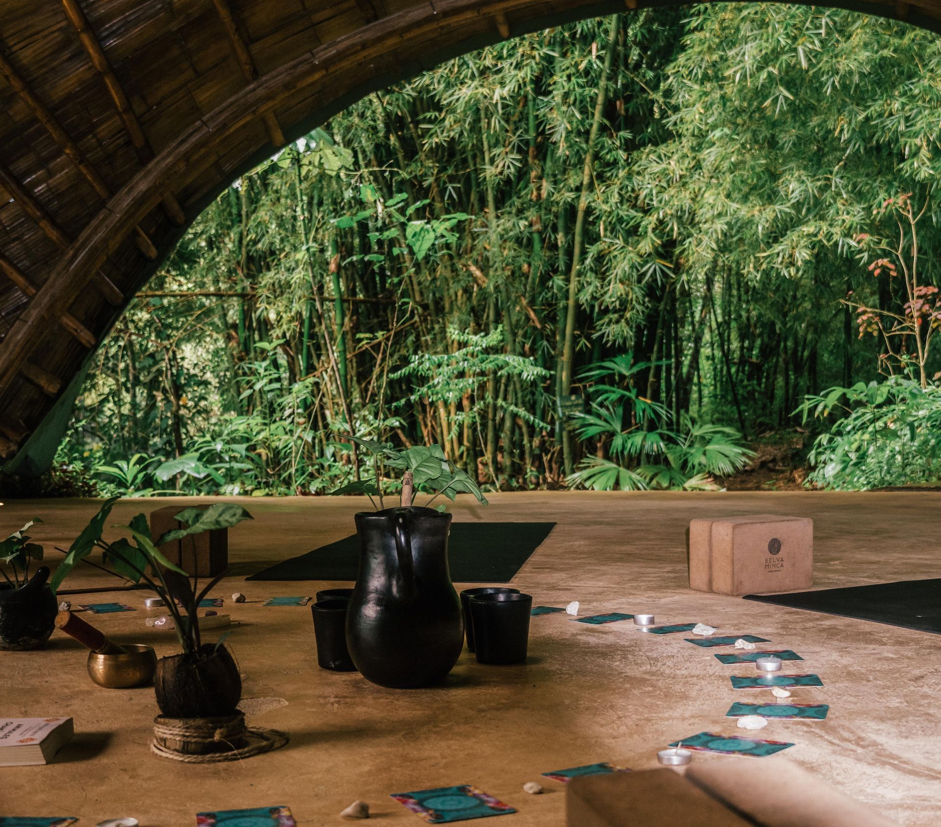 A room with a view of a lush green forest
