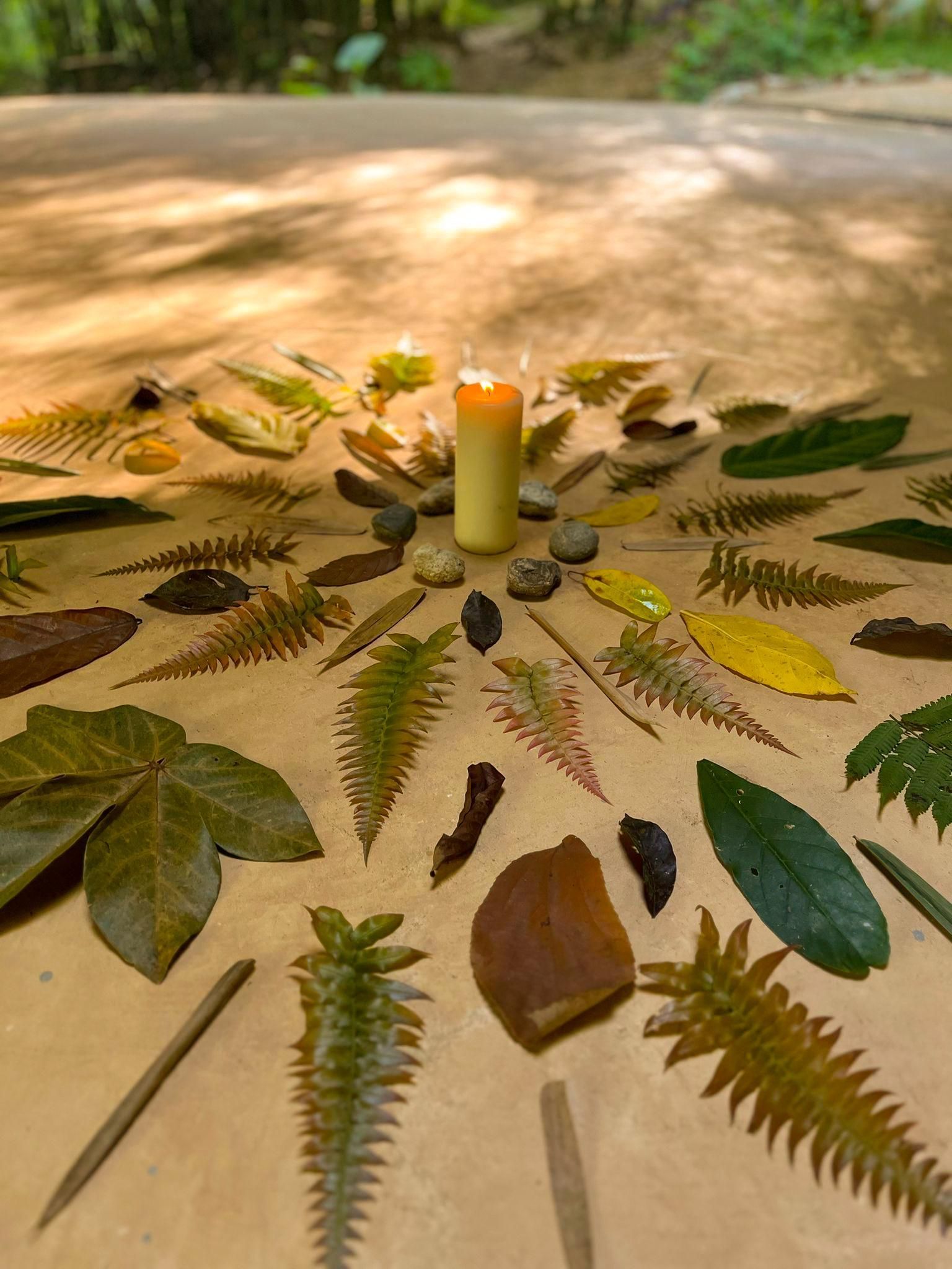 A candle is surrounded by leaves and rocks on a table.