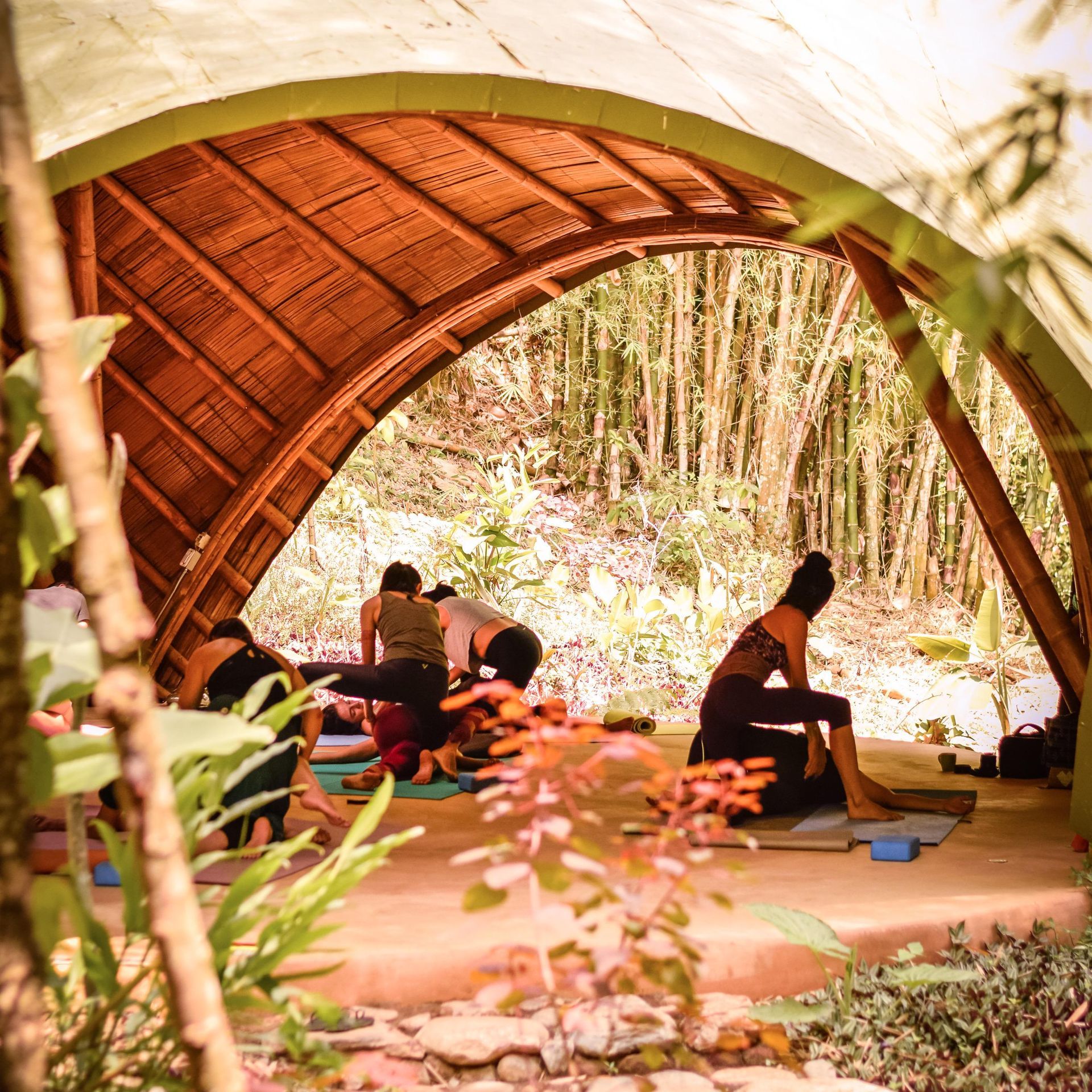 A group of people are doing yoga in a hut in the woods.