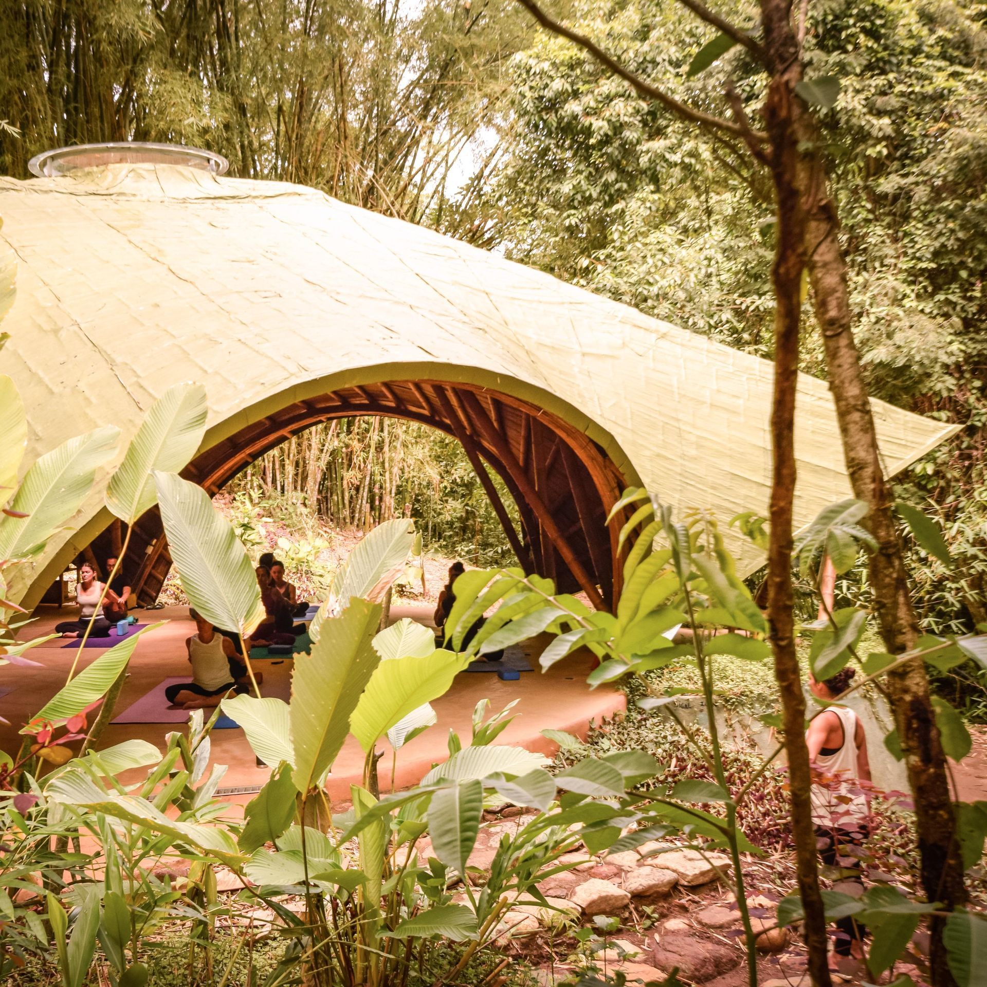 A group of people are practicing yoga under a dome in the woods.