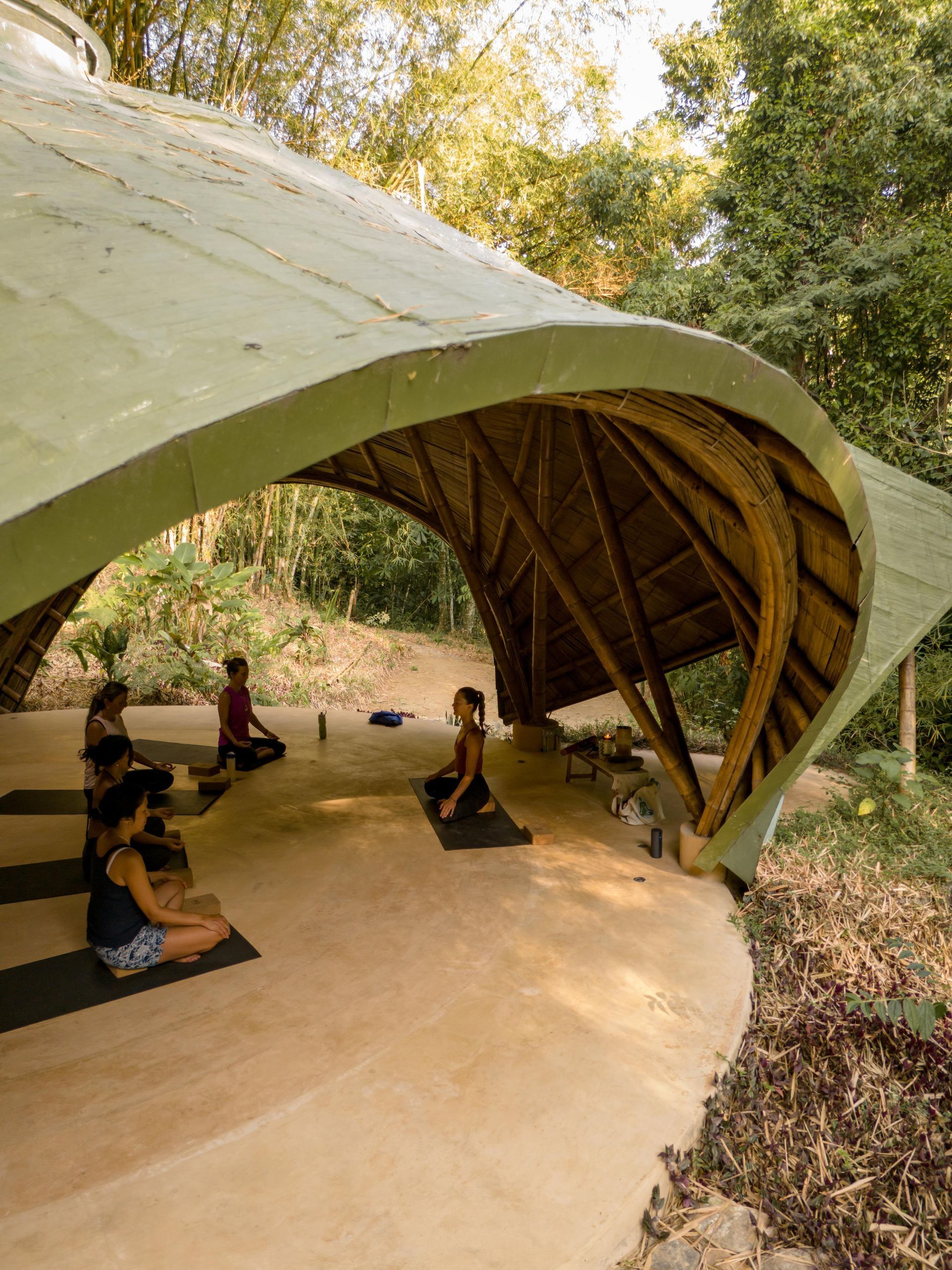 A group of people are sitting on yoga mats under a green roof.