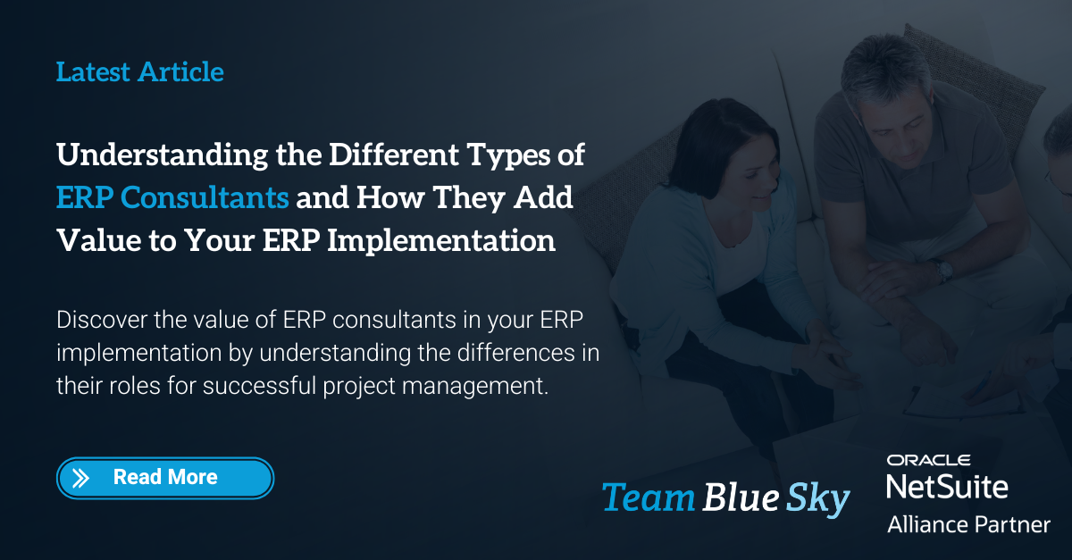 ERP Consultants