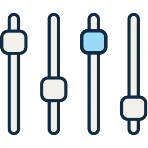 NetSuite Customisation