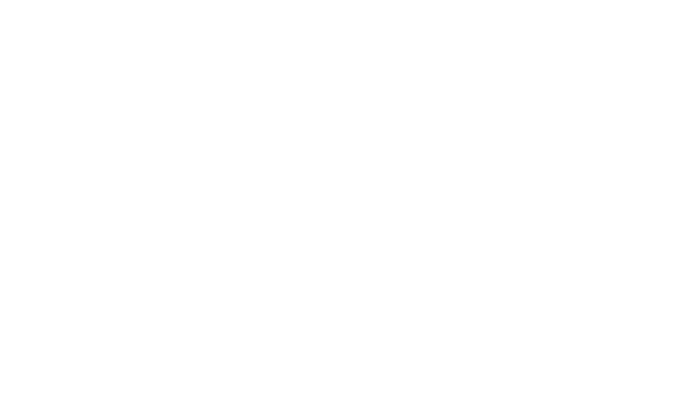 Picasso Foods Logo