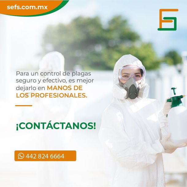 FUMIGACIONES Y SANEAMIENTO SEFS - CONTÁCTANOS