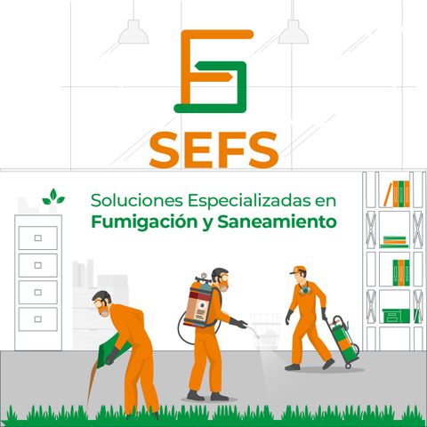 FUMIGACIONES Y SANEAMIENTO SEFS - TECNOLOGÍA DISPONIBLE