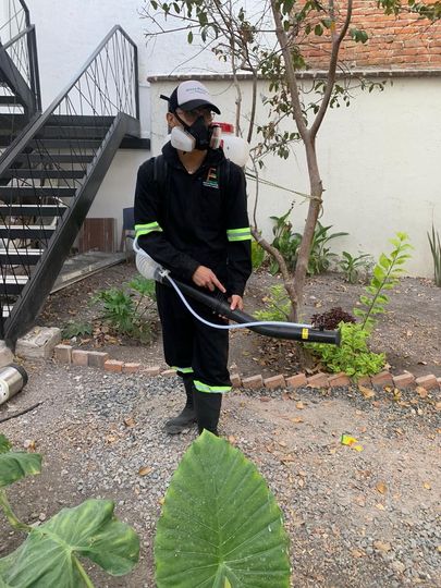 FUMIGACIONES Y SANEAMIENTO SEFS - LIMPIEZA DE SU ESPACIO