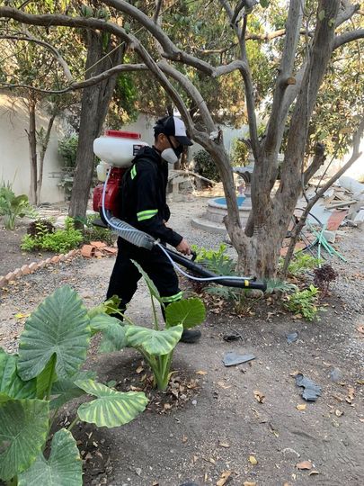 FUMIGACIONES Y SANEAMIENTO SEFS - TECNOLOGÍA AVANZADA