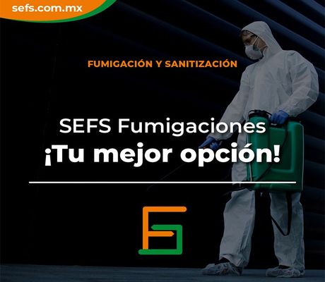 FUMIGACIONES Y SANEAMIENTO SEFS - FUMIGACIÓN RESIDENCIAL