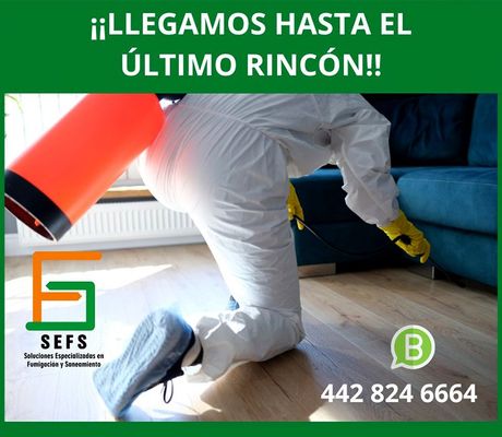 FUMIGACIONES Y SANEAMIENTO SEFS - CONTROL DE PLAGAS