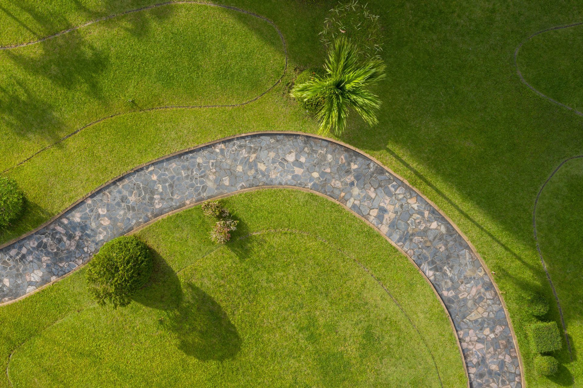 An aerial view of a curved path in a park surrounded by grass and trees.