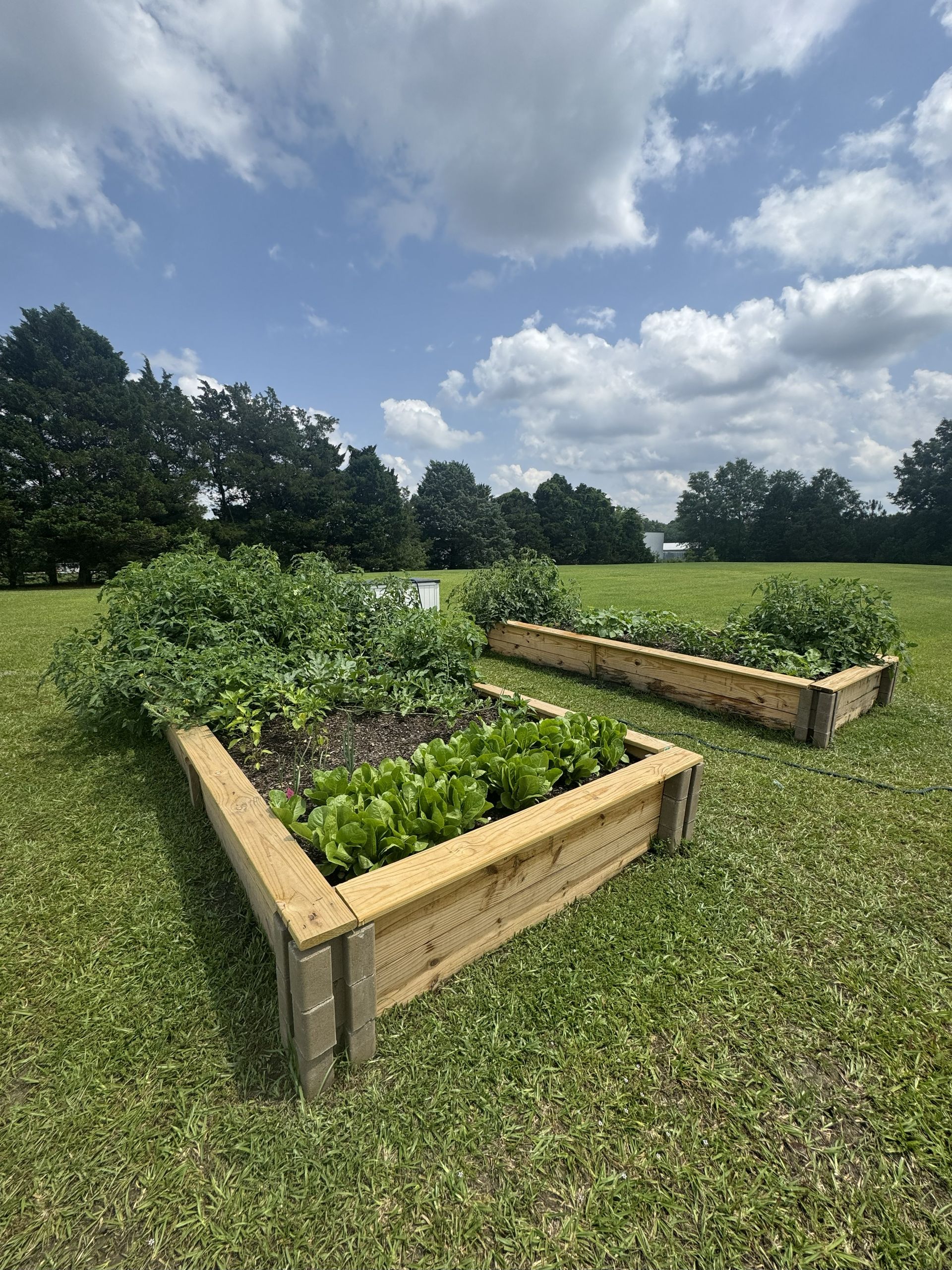 Meridian Park Landscape