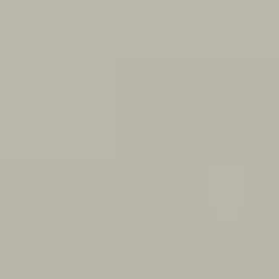 Solid, neutral light gray background.