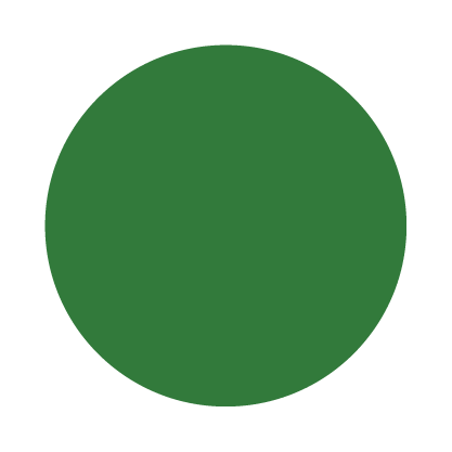 Green circle on a white background.